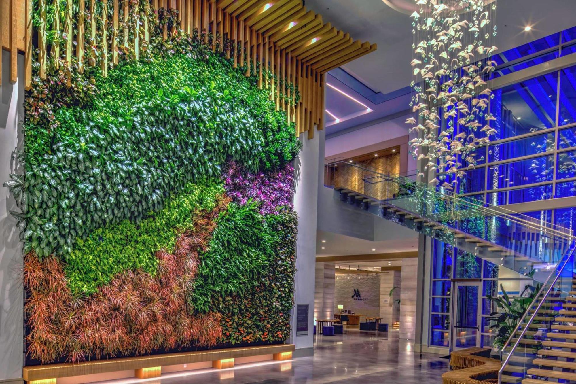 Marriott Virginia Oceanfront 4* Virginia Beach